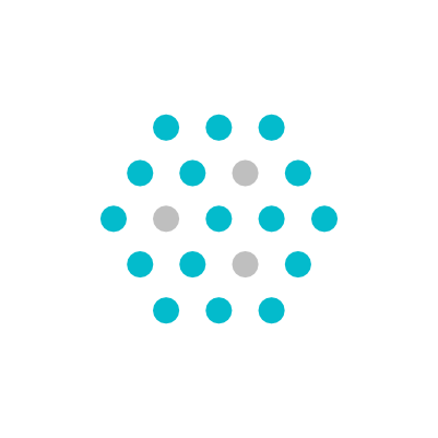 Nami Crypto Logo