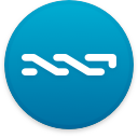 Nxt Coin Logo