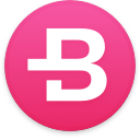 Bytecoin Logo