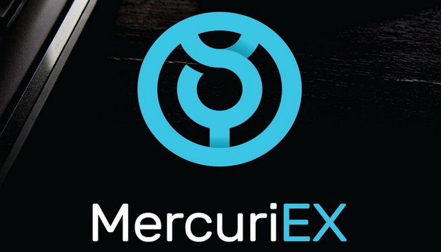 MercuriEx Logo