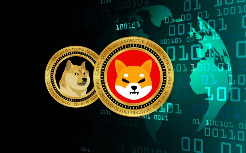The Memecoin Phenomenon Represents More Than a Temporary Market Trend: DWF Labs Report