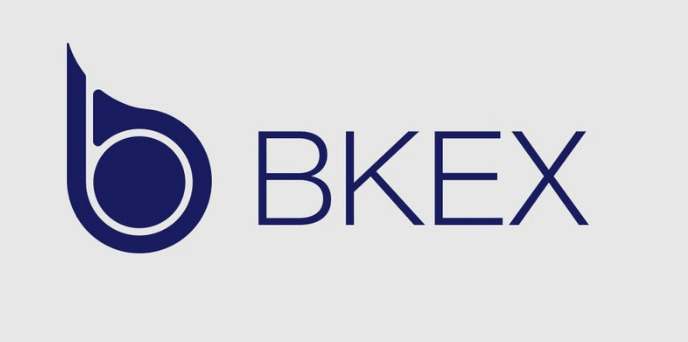 BKEX Logo