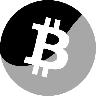 Bitcoin Incognito Logo