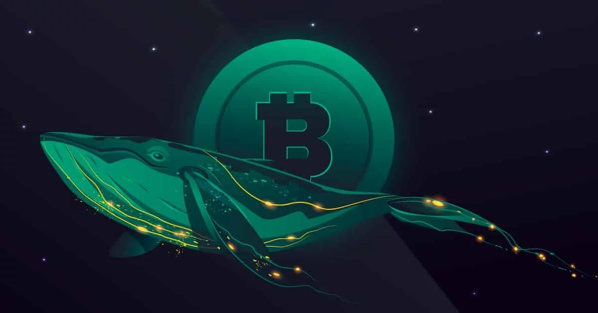 Market Dynamics Show Bitcoin Whale Activity Rising Amid Retail Exit