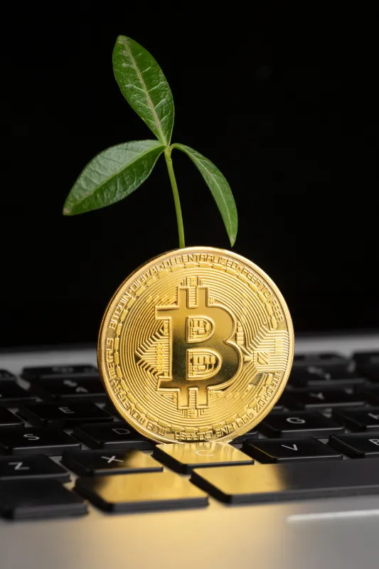 DevvStream Corp Makes $10M Bitcoin and Solana Investment for Carbon Credit Tokenization