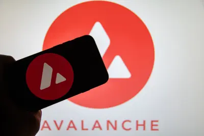 Re Expands Institutional Offerings on Avalanche
