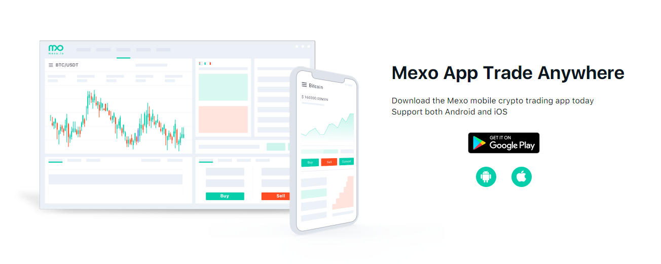 Mexo Exchange Mobile Support New