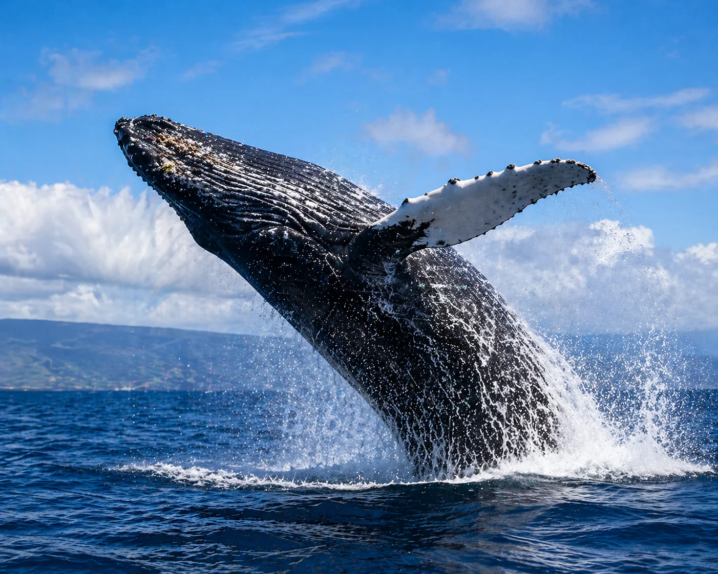 Ethereum ICO Participant Moves $23 Million in ETH After 10 Years of Dormancy