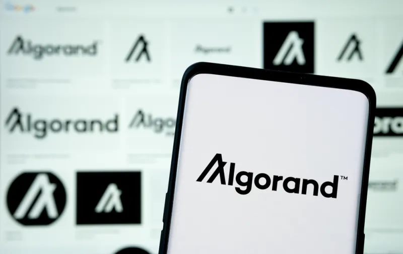 Algorand Foundation is a Founding Member of the UNDP Blockchain Advisory Group