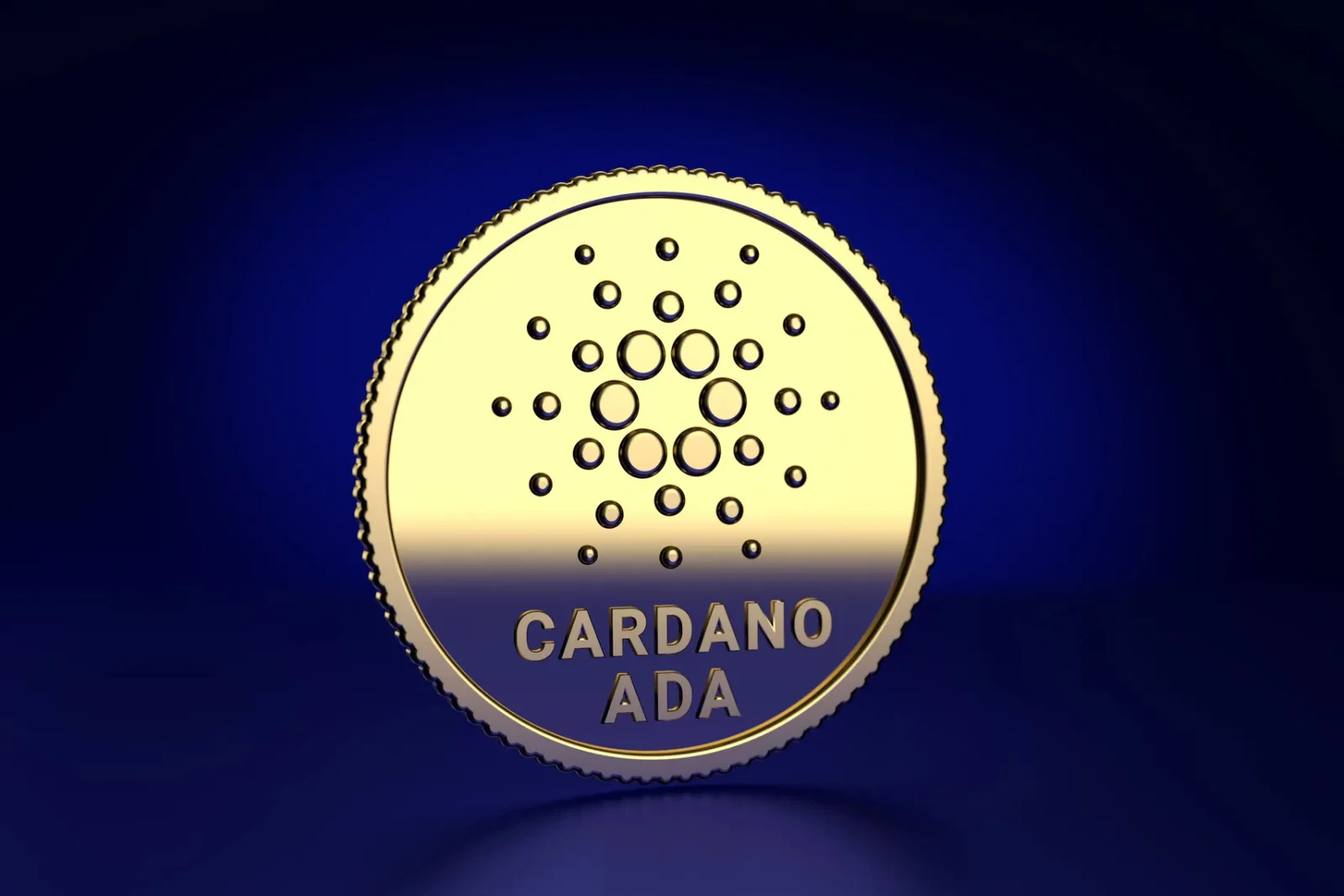 Cardano Verifies 500,000 Supply Chain Records for Brazil's Fashion Giants