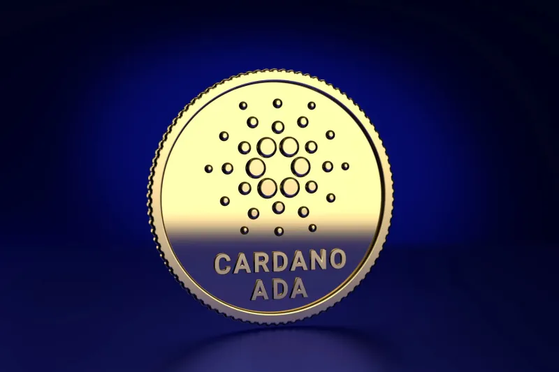 Cardano Verifies 500,000 Supply Chain Records for Brazil's Fashion Giants