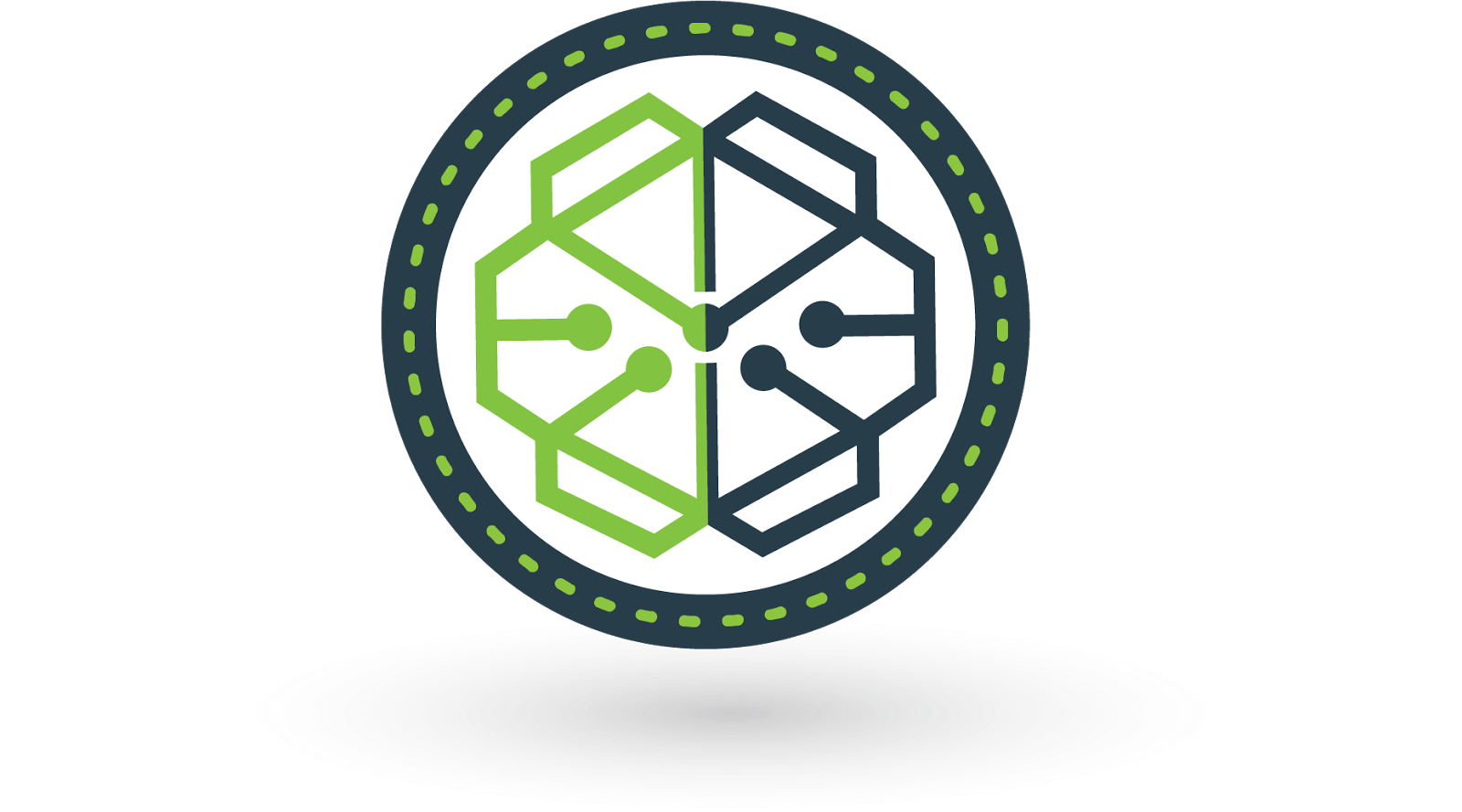SwissBorg Token Logo