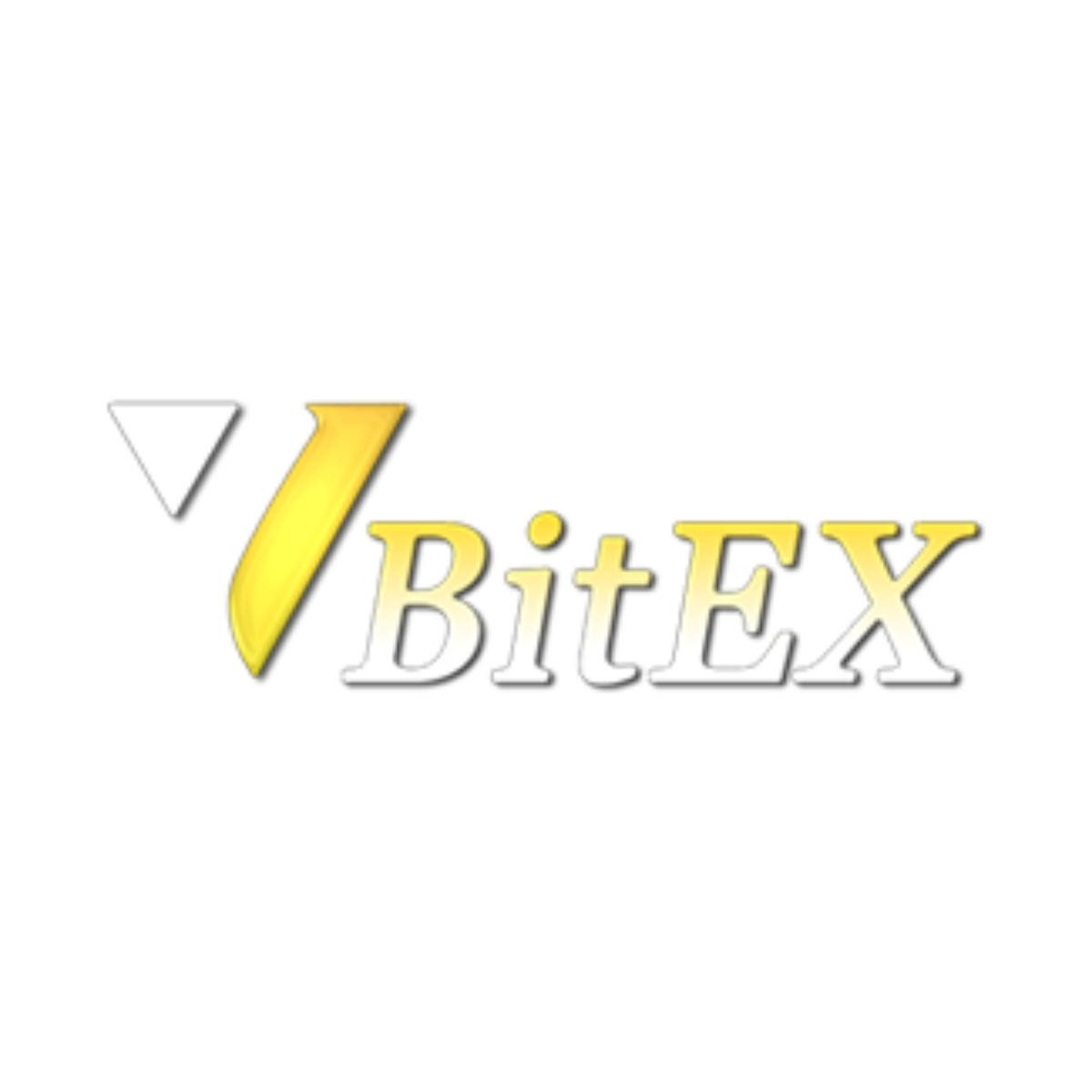 Vbitex Logo