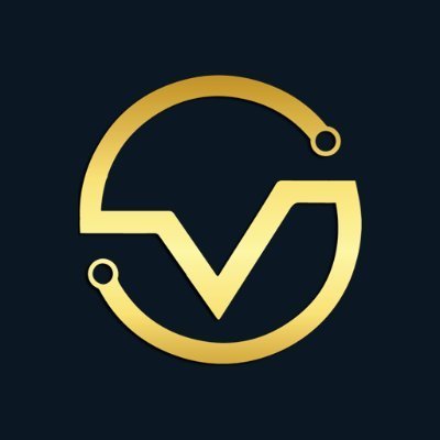 VNDC Token Logo