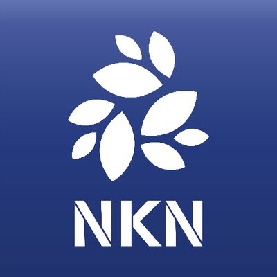 NKN Token Logo