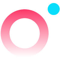 PolkaFoundry Token Logo