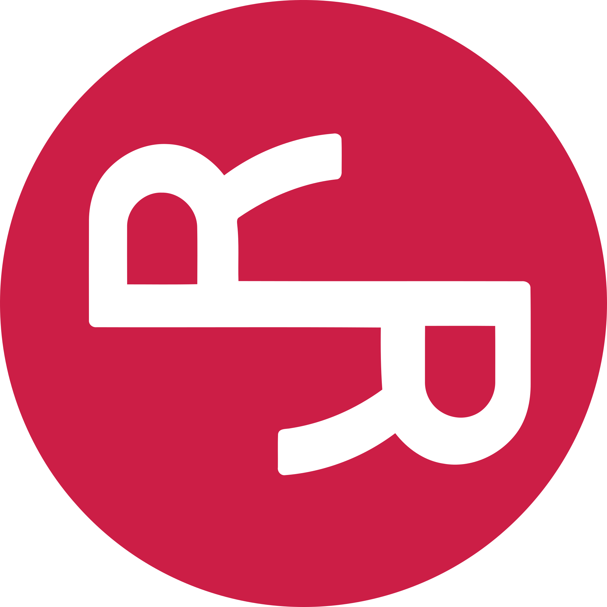 RChain Token Logo
