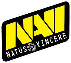 Natus Vincere Fan Token Logo