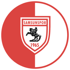Samsunspor Fan Token Logo