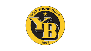 Young Boys Fan Token Logo