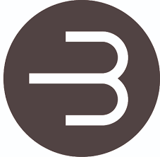 BetterBetting Coin Logo